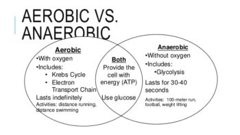 Strength Training And Aerobic VS. Anerobic Exericise | Roworx