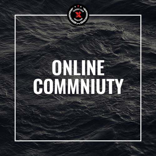 Online Community